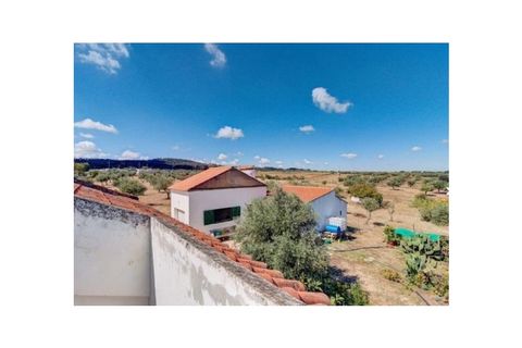 Farm i Monforte, Portalegre, Monforte - € 380.000 | Ref: MAS_291 - foto 26