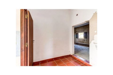 Farm i Monforte, Portalegre, Monforte - € 380.000 | Ref: MAS_291 - foto 45