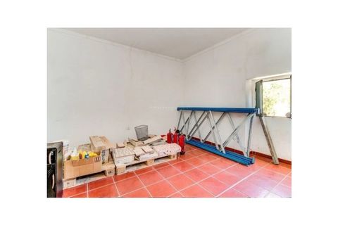 Farm i Monforte, Portalegre, Monforte - € 380.000 | Ref: MAS_291 - foto 46