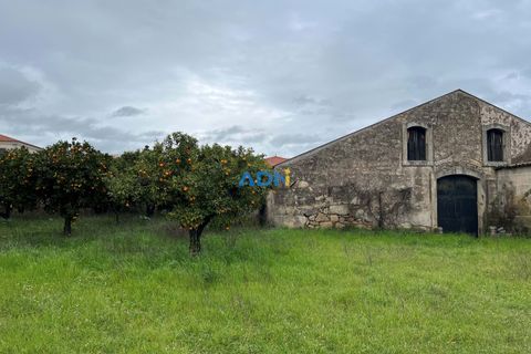 Farm hus i Alcains, Castelo Branco, Alcains - € 136.000 | Ref: 124008 - foto 1