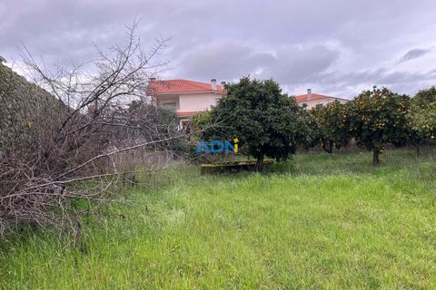 Farm hus i Alcains, Castelo Branco, Alcains - € 136.000 | Ref: 124008 - foto 2