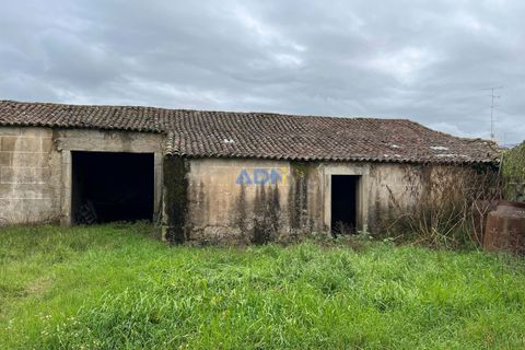 Farm hus i Alcains, Castelo Branco, Alcains - € 136.000 | Ref: 124008 - foto 5