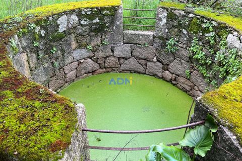 Farm hus i Alcains, Castelo Branco, Alcains - € 136.000 | Ref: 124008 - foto 3