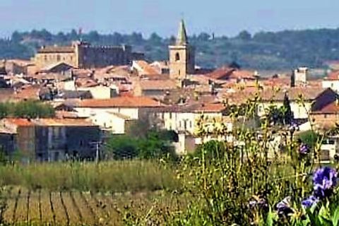 Villa i Puisserguier, Herault, Puisserguier - € 351.000 | Ref: DOMITIA98 - foto 3