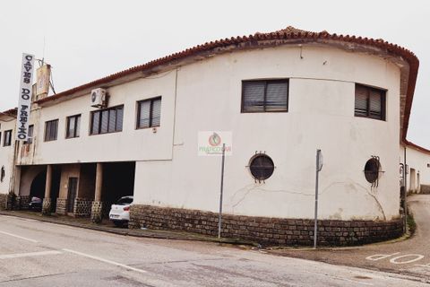 Lejlighed i Anadia, Aveiro, Anadia - € 1.390.000 | Ref: 3052 - foto 5