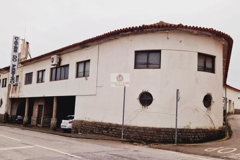 Lejlighed i Anadia, Aveiro, Anadia - € 1.390.000 | Ref: 3052 - foto 6