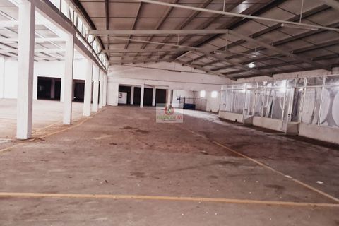 Lejlighed i Anadia, Aveiro, Anadia - € 1.390.000 | Ref: 3052 - foto 31