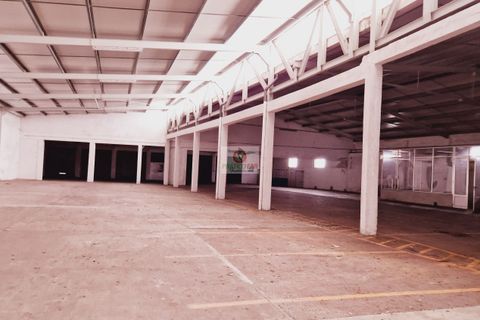Lejlighed i Anadia, Aveiro, Anadia - € 1.390.000 | Ref: 3052 - foto 34