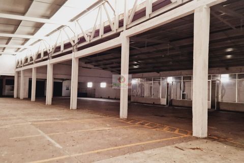 Lejlighed i Anadia, Aveiro, Anadia - € 1.390.000 | Ref: 3052 - foto 35
