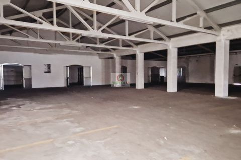 Lejlighed i Anadia, Aveiro, Anadia - € 1.390.000 | Ref: 3052 - foto 36