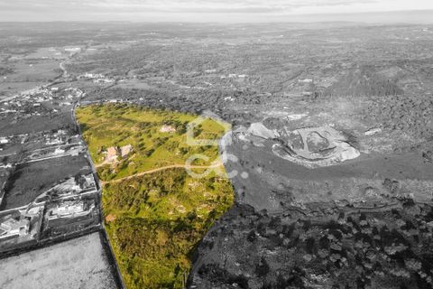 Farm hus i Evora, Evora, Evora - € 650.000 | Ref: 318/Q/03309 - foto 25