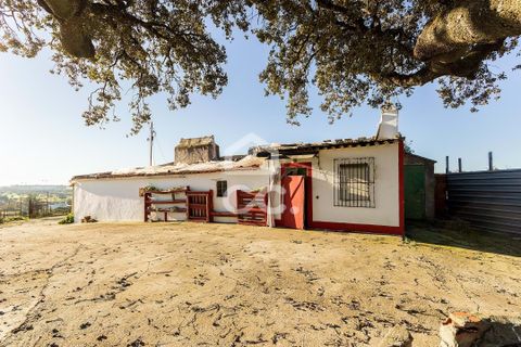 Farm hus i Evora, Evora, Evora - € 650.000 | Ref: 318/Q/03309 - foto 8