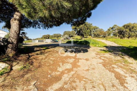 Farm hus i Evora, Evora, Evora - € 650.000 | Ref: 318/Q/03309 - foto 16