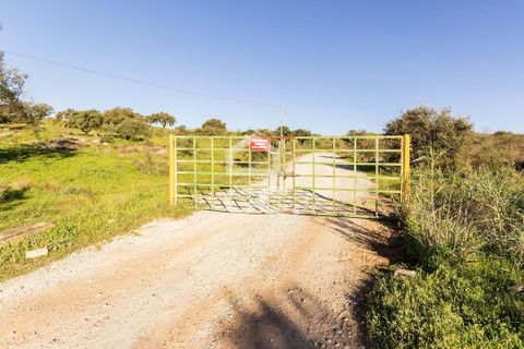 Farm hus i Evora, Evora, Evora - € 650.000 | Ref: 318/Q/03309 - foto 18