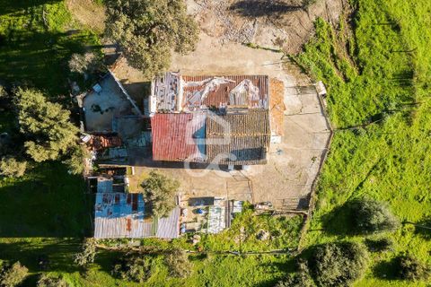 Farm hus i Evora, Evora, Evora - € 650.000 | Ref: 318/Q/03309 - foto 21