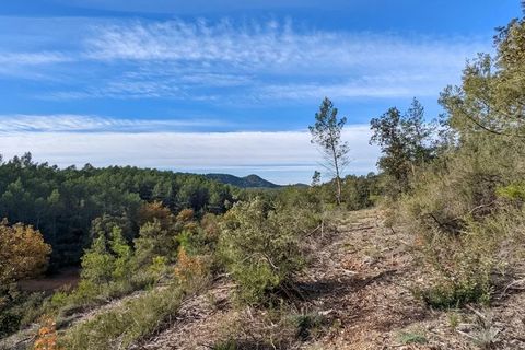 Terra a Carcès, Var, Carcès - € 6.900 | Ref: 3367 - foto 3