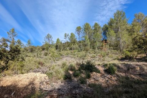 Terra a Carcès, Var, Carcès - € 6.900 | Ref: 3367 - foto 2