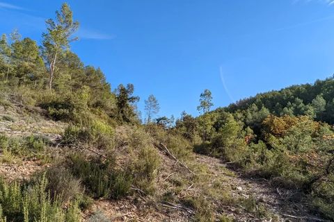Terra a Carcès, Var, Carcès - € 6.900 | Ref: 3367 - foto 4