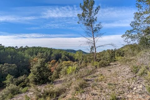 Terra a Carcès, Var, Carcès - € 6.900 | Ref: 3367 - foto 5