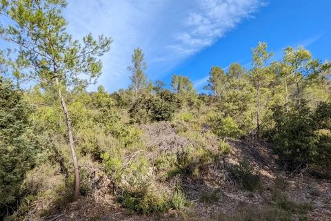 Terra a Carcès, Var, Carcès - € 6.900 | Ref: 3367 - foto 6