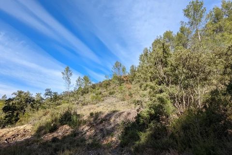 Terra a Carcès, Var, Carcès - € 6.900 | Ref: 3367 - foto 7