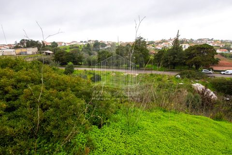 Helårsgrund i Sesimbra, Setubal, Sesimbra - € 771.000 | Ref: 9569 - foto 13