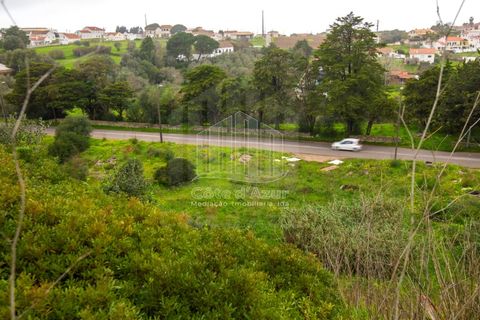 Helårsgrund i Sesimbra, Setubal, Sesimbra - € 771.000 | Ref: 9569 - foto 14