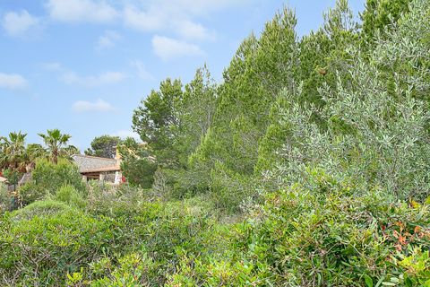 Terra a Cala Mesquida, Mallorca, Cala Mesquida - € 375.000 | Ref: A-0047 - foto 3