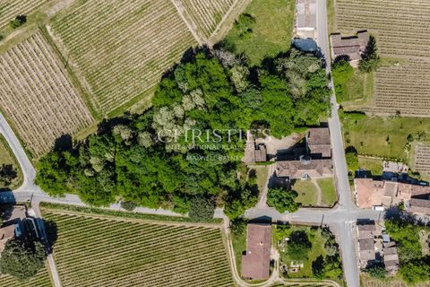 Landejendom i Saint-Emilion, Gironde, Saint-Emilion - € 1.095.000 | Ref: MZ1004 - foto 6