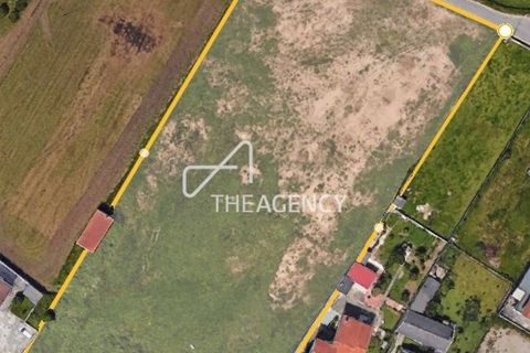 Helårsgrund i Ovar, Aveiro, Ovar - € 1.200.000 | Ref: TAPT01-587_CU - foto 1
