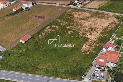 Helårsgrund i Ovar, Aveiro, Ovar - € 1.200.000 | Ref: TAPT01-587_CU - foto 3