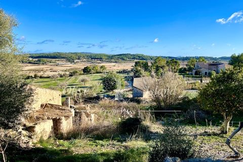 Landejendom i Sineu, Mallorca, Sineu - € 950.000 | Ref: LLV448 - foto 1