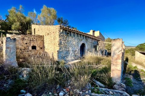 Landejendom i Sineu, Mallorca, Sineu - € 950.000 | Ref: LLV448 - foto 2