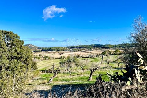 Landejendom i Sineu, Mallorca, Sineu - € 950.000 | Ref: LLV448 - foto 3