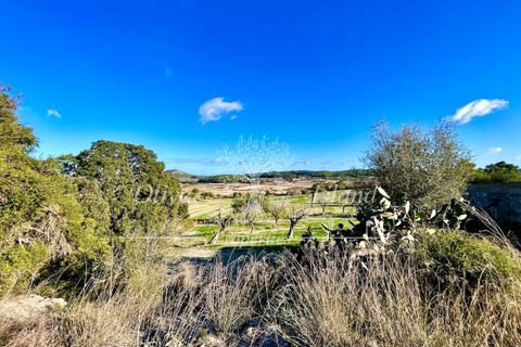 Landejendom i Sineu, Mallorca, Sineu - € 950.000 | Ref: LLV448 - foto 4