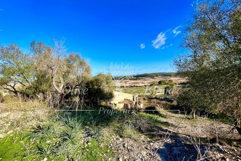 Landejendom i Sineu, Mallorca, Sineu - € 950.000 | Ref: LLV448 - foto 5