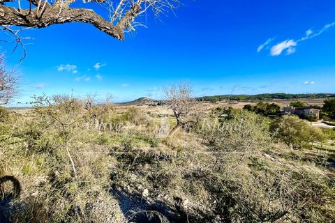 Landejendom i Sineu, Mallorca, Sineu - € 950.000 | Ref: LLV448 - foto 6