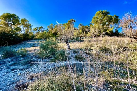 Landejendom i Sineu, Mallorca, Sineu - € 950.000 | Ref: LLV448 - foto 7