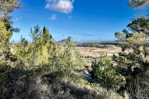 Landejendom i Sineu, Mallorca, Sineu - € 950.000 | Ref: LLV448 - foto 8