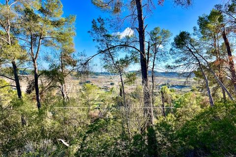 Landejendom i Sineu, Mallorca, Sineu - € 950.000 | Ref: LLV448 - foto 9