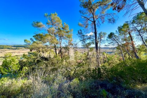 Landejendom i Sineu, Mallorca, Sineu - € 950.000 | Ref: LLV448 - foto 10
