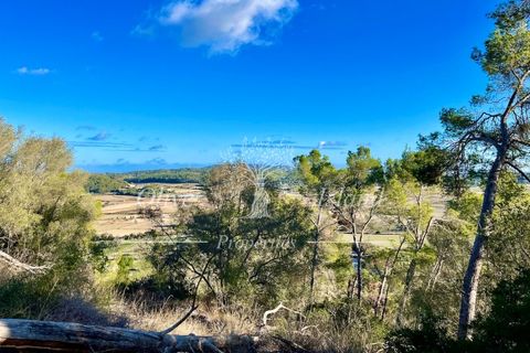 Landejendom i Sineu, Mallorca, Sineu - € 950.000 | Ref: LLV448 - foto 11