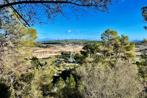 Landejendom i Sineu, Mallorca, Sineu - € 950.000 | Ref: LLV448 - foto 13