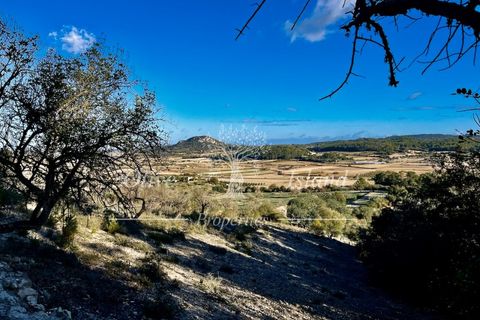 Landejendom i Sineu, Mallorca, Sineu - € 950.000 | Ref: LLV448 - foto 15