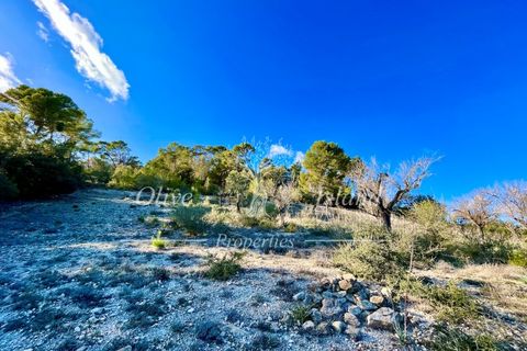 Landejendom i Sineu, Mallorca, Sineu - € 950.000 | Ref: LLV448 - foto 16