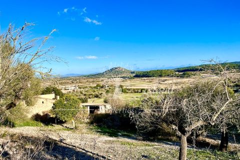 Landejendom i Sineu, Mallorca, Sineu - € 950.000 | Ref: LLV448 - foto 17