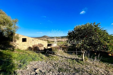 Landejendom i Sineu, Mallorca, Sineu - € 950.000 | Ref: LLV448 - foto 18