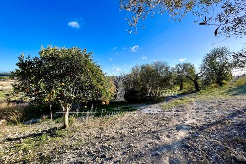 Landejendom i Sineu, Mallorca, Sineu - € 950.000 | Ref: LLV448 - foto 19
