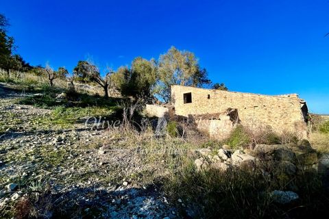 Landejendom i Sineu, Mallorca, Sineu - € 950.000 | Ref: LLV448 - foto 20