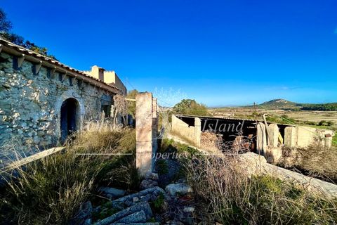 Landejendom i Sineu, Mallorca, Sineu - € 950.000 | Ref: LLV448 - foto 21